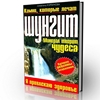 Тайна разрушенного замка. Энид Блайтон (Аудиокнига)